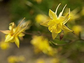 《影子策略：被诅咒的船员》角色预告